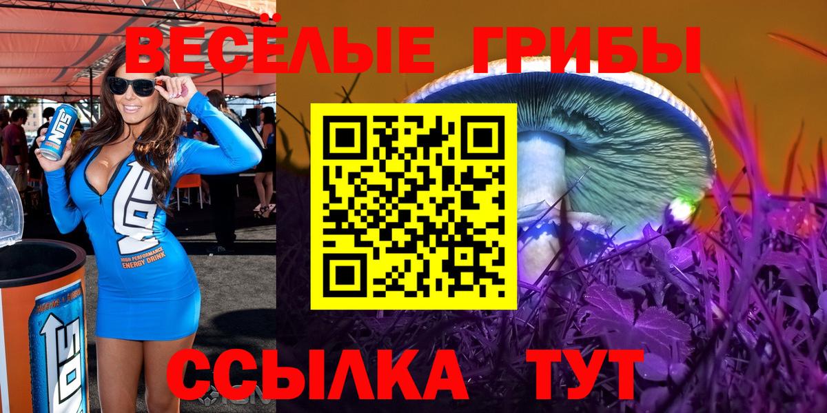 Галлюциногенные грибы Psilocybe Лянтор