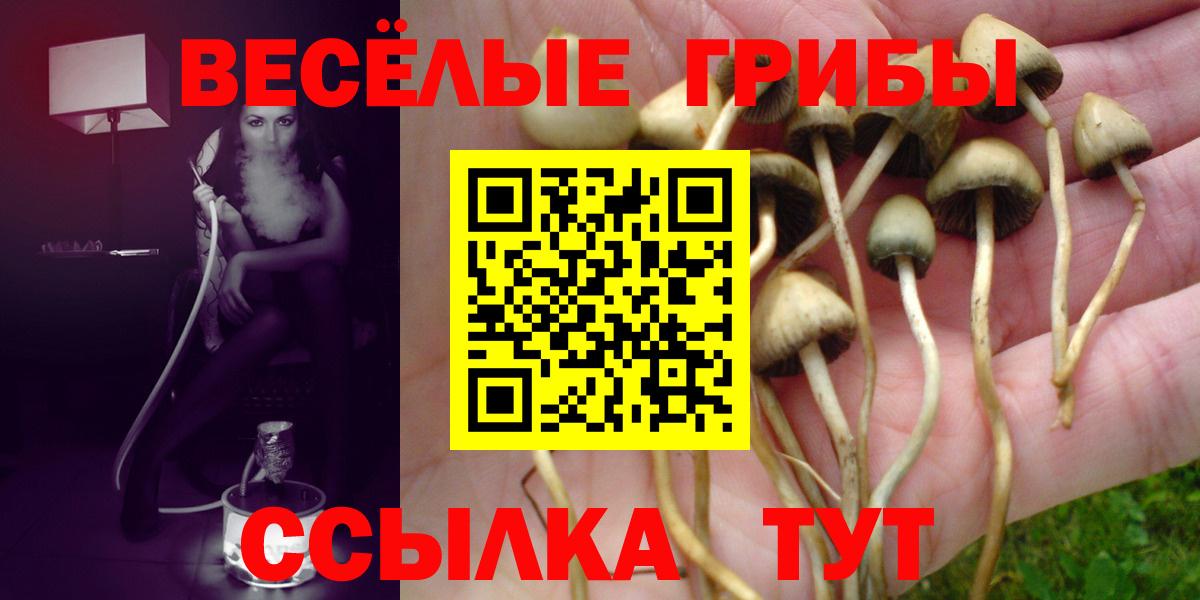 Галлюциногенные грибы прущие грибы  Галлюциногенные грибы ЛСД  Лянтор  Вход с VPN 